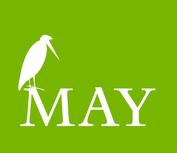 A new wallpaper for May 2009.