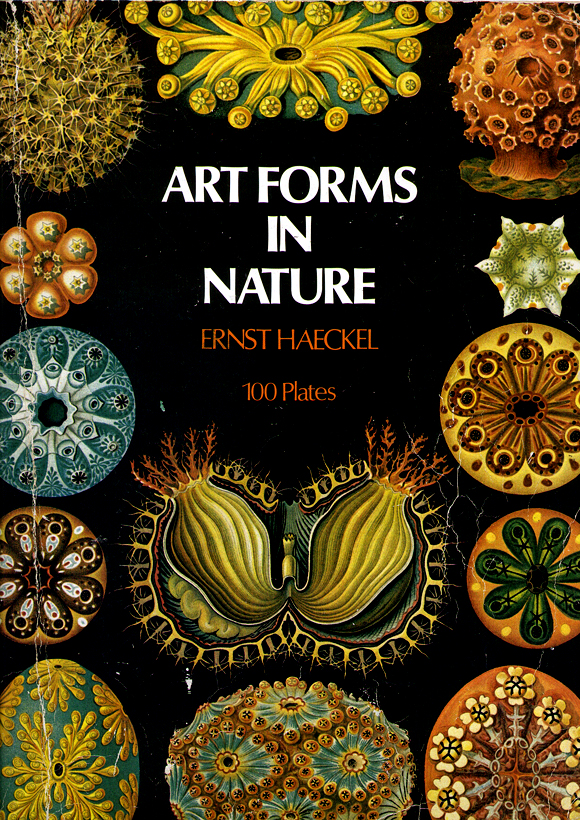 Art forms in nature