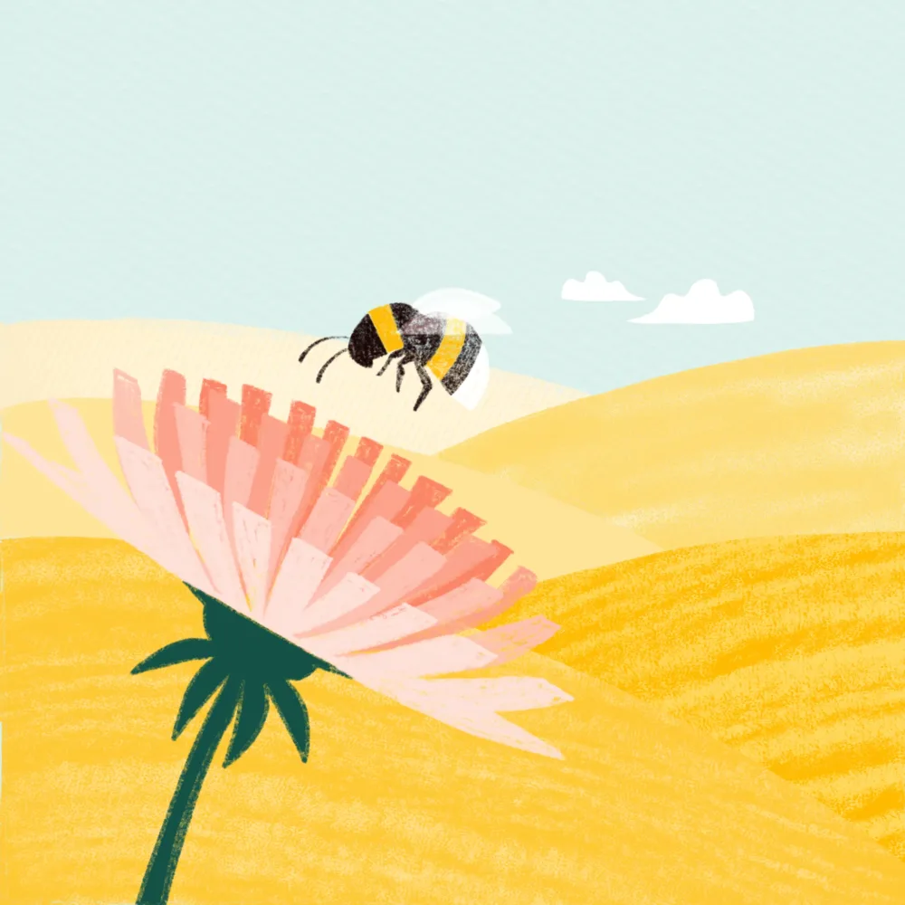 Illustration